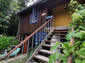 Cabin Radal in Coñaripe